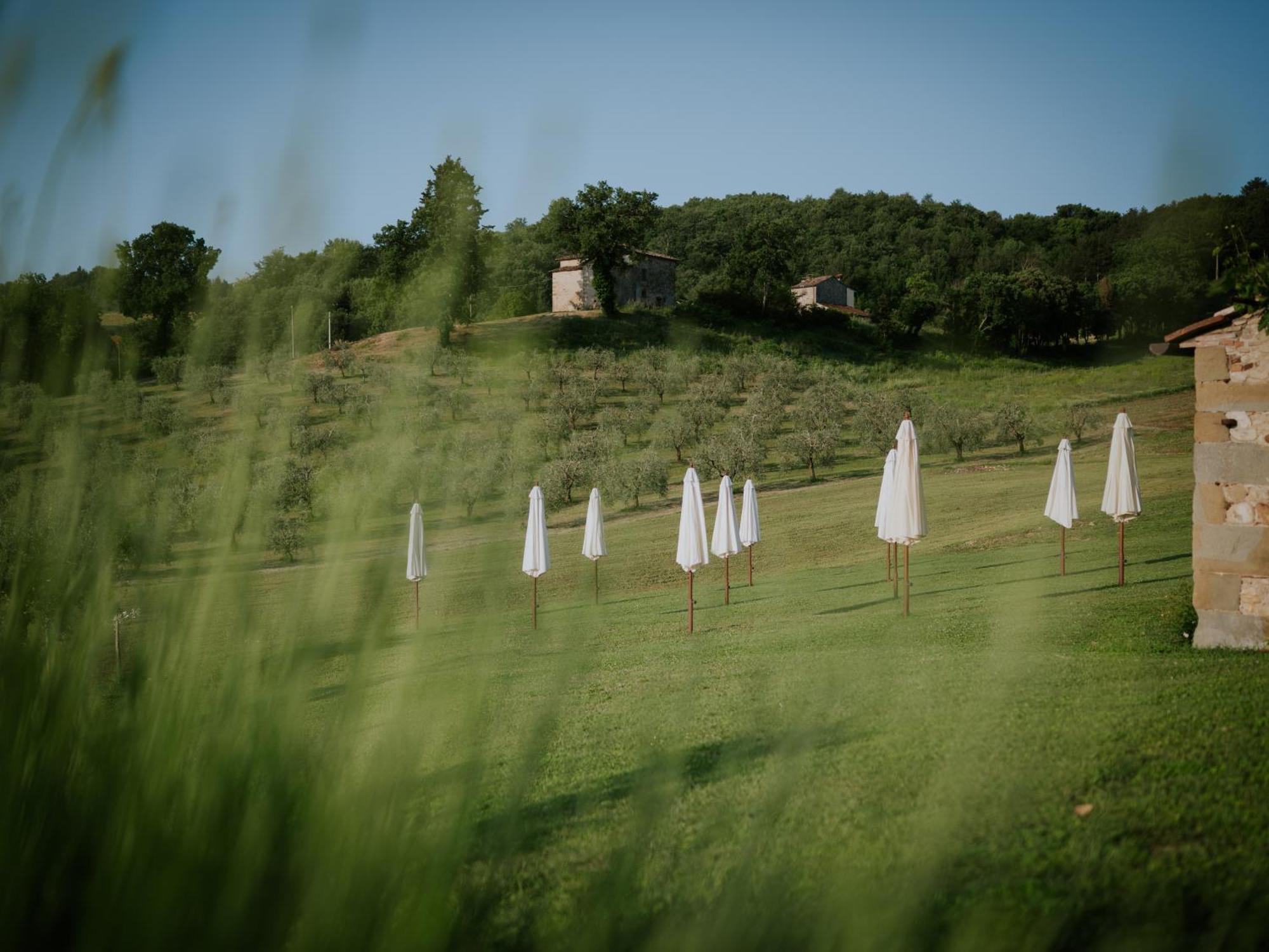 Agriturismo Podere Tovari Ангьяри Экстерьер фото