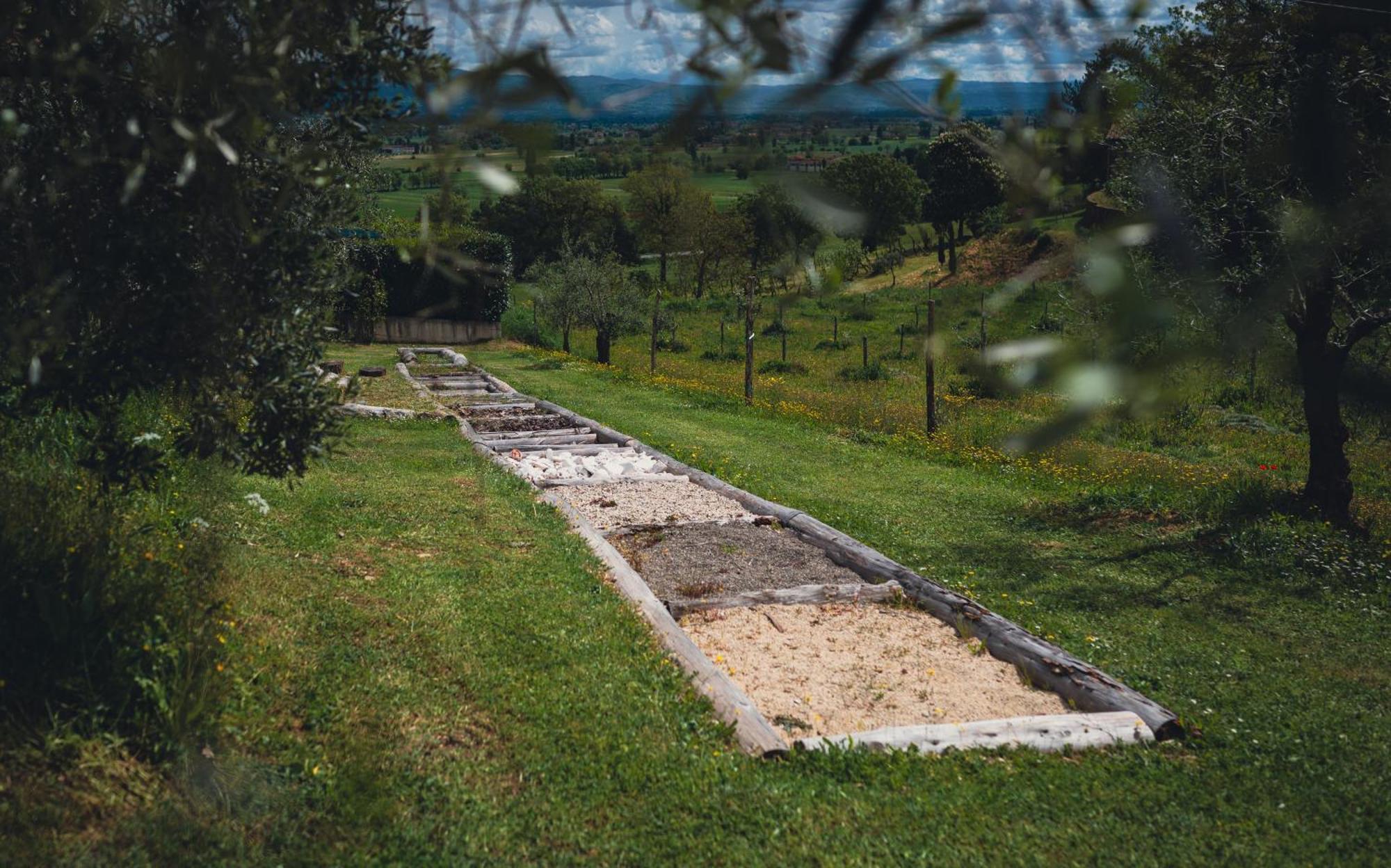 Agriturismo Podere Tovari Ангьяри Экстерьер фото
